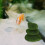 5 Große Aquarium Moosstein Für Fischbecken 3