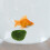 5 Große Aquarium Moosstein Für Fischbecken 4