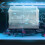 Fish Breeder Box Zuchtbox Für Fische 4