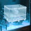 Fish Breeder Box Zuchtbox Für Fische 5