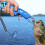 Fish Control Apparaat Rvs 8