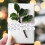 1Ruban En Polyester Pour Décoration Cadeau DIY Fête 3