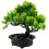 3Stk Künstliche Bonsai- Topfpflanze 3