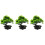 3Stk Künstliche Bonsai- Topfpflanze 6