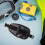 Scuba Gewichtszak Duikaccessoire 1 4