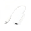 Thunderbolt 2 to USB-C adapter for professional use 25-26 1