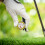 Golf Ausrüstung Golfball Markierungs Zubehör Rund 1 10