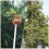 2 Fruit Picker Van Roestvrij Staal Voor Druiven 7