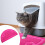 Cat Litter Pads Litter Mat Half-Round Rose Rood 1 8