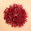 Sipeihong Cheerleader Pompons Voor Teamjubel 6