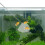 Teleskopisches Aquarium Feinmaschig 3D Mit 5
