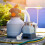 Return Jet Fitting Für Above Ground Pool Mit Dichtungen Und Schlauchadapter 5