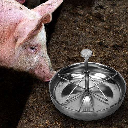 1St Piglettränke Essschale 2