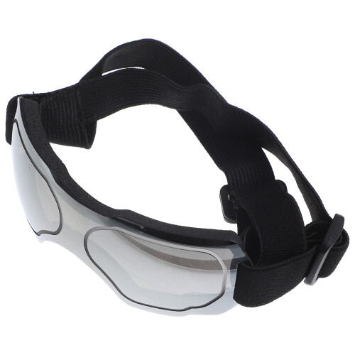 Dog Goggles PC Windbescherming Auto 1 Set