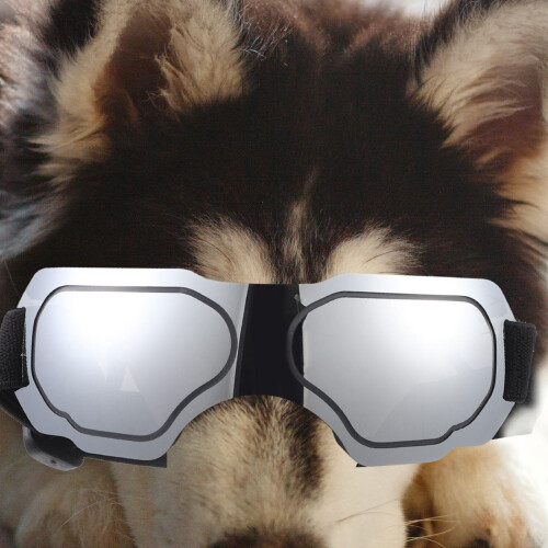 Dog Goggles PC Windbescherming Auto 1 Set 2