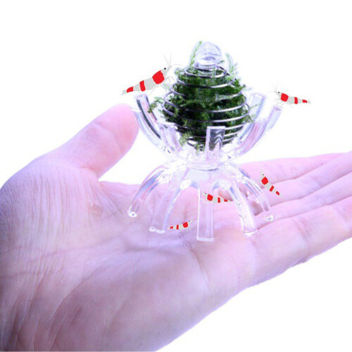 Transparente Futterstation Für Garnelen, Futtertöpfe 2