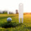 2 Golf Divot Repair Accessoires Uitrusting 7