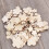 100Pièces Décor Bois Beige De Prunier Pour Scrapbooking Fêtes 7