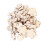 100Pièces Décor Bois Beige De Prunier Pour Scrapbooking Fêtes 3