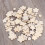 100Pièces Décor Bois Beige De Prunier Pour Scrapbooking Fêtes 5