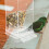 Automatic Parrot Feeder Aus Kunststoff Für Vogelkäfig 8
