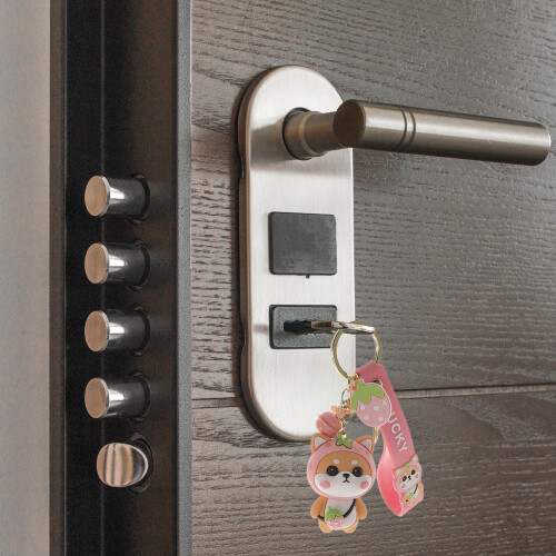 Draagbare Sleutelhanger En Autosleutel 2