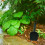 3Pcs Small Red Garden Tools Plastic Soil for Home Gardening 9