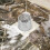 Downspout Filter Rinnenabdeckung Rinnenfilter 11