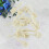 20 6,5 Cm Plastic Doelpin Voor Buiten (Beige) 6
