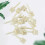 20 6,5 Cm Plastic Doelpin Voor Buiten (Beige) 8