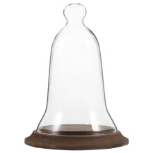 Glass Dome Mit Holzunterlage Für Blumenarrangement Und Pflanzen