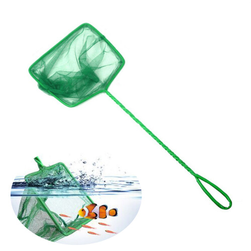 Großes Fischtank Mit Langer (Grün)