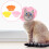 3Stk. Katzen-Recovery- Mit Sonnenblumen-Design 7