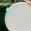 2Pcs Durable Pe Flying Disc Clip Small Portable Disc Carrier Green 9