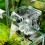 1St Wasserfallfilter Für Aquarium Mit Luftpumpe Us‑Stecker 7