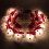 1St LED Weihnachtsmann Lichterkette 9