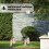 Solarleuchte Blumenform 40-LED Garten-Wegeleuchte 9
