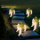 Solarleuchte Blumenform 40-LED Garten-Wegeleuchte 5