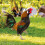 2Stk Gartenhühner Pfähle Acryl Für Außenbereich 11