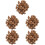5 Confezioni Quercia per Whisky, Vino, 8