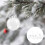 16Stk Hängende Pet Weihnachtskugeln Transparent Für Basteln 7