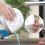 Unibond UniBond Dehumidifier Refill Waterfall &Neutral 2pk 6