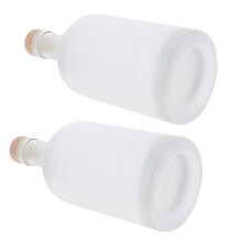 2 Stuks Flessen Lege Flessen Fruitflessen Diy Ijsflessen Drinkflessen