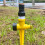 2Pcs Plastic Spray Nozzle For Garden Plant Watering 6