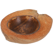 Coconutschalen Schüssel Essensservier Snackaufbewahrung