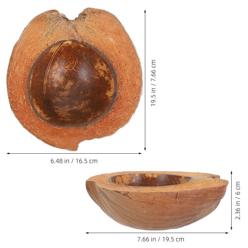 Coconutschalen Schüssel Essensservier Snackaufbewahrung 2