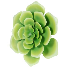 1St Saftige Wanddekoration Hintergrundschmuck