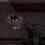 1St Aromatherapie Wachsblock Duftlampe 11
