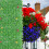 Simulated Green Wall Rectangular Greenery 1pack 23.6x15.7in 10