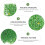 Simulated Green Wall Rectangular Greenery 1pack 23.6x15.7in 11